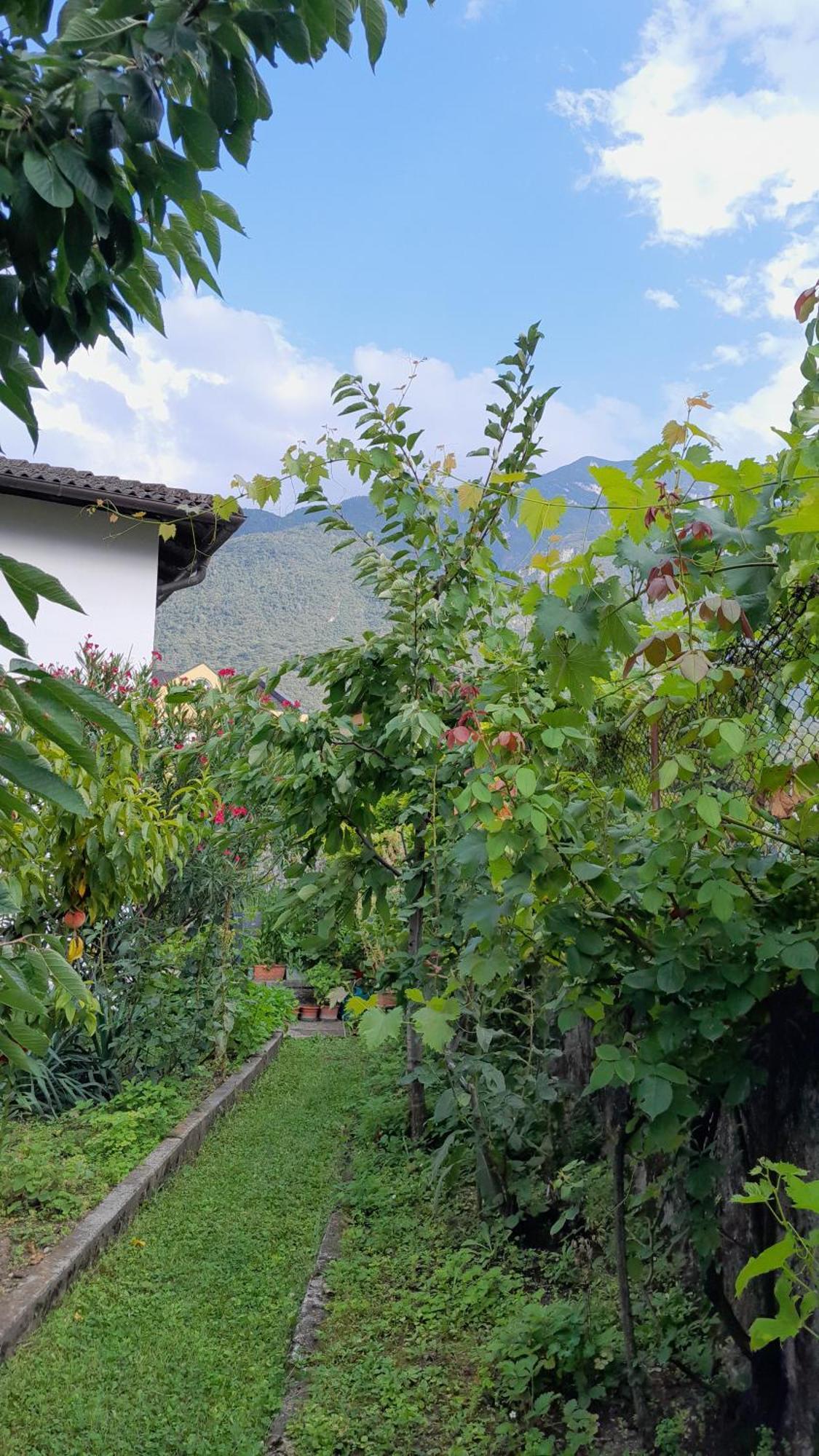 Appartment Lodged Mamma Maria Mattarello Exterior photo